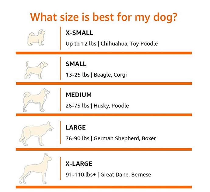 sizing puppy bed