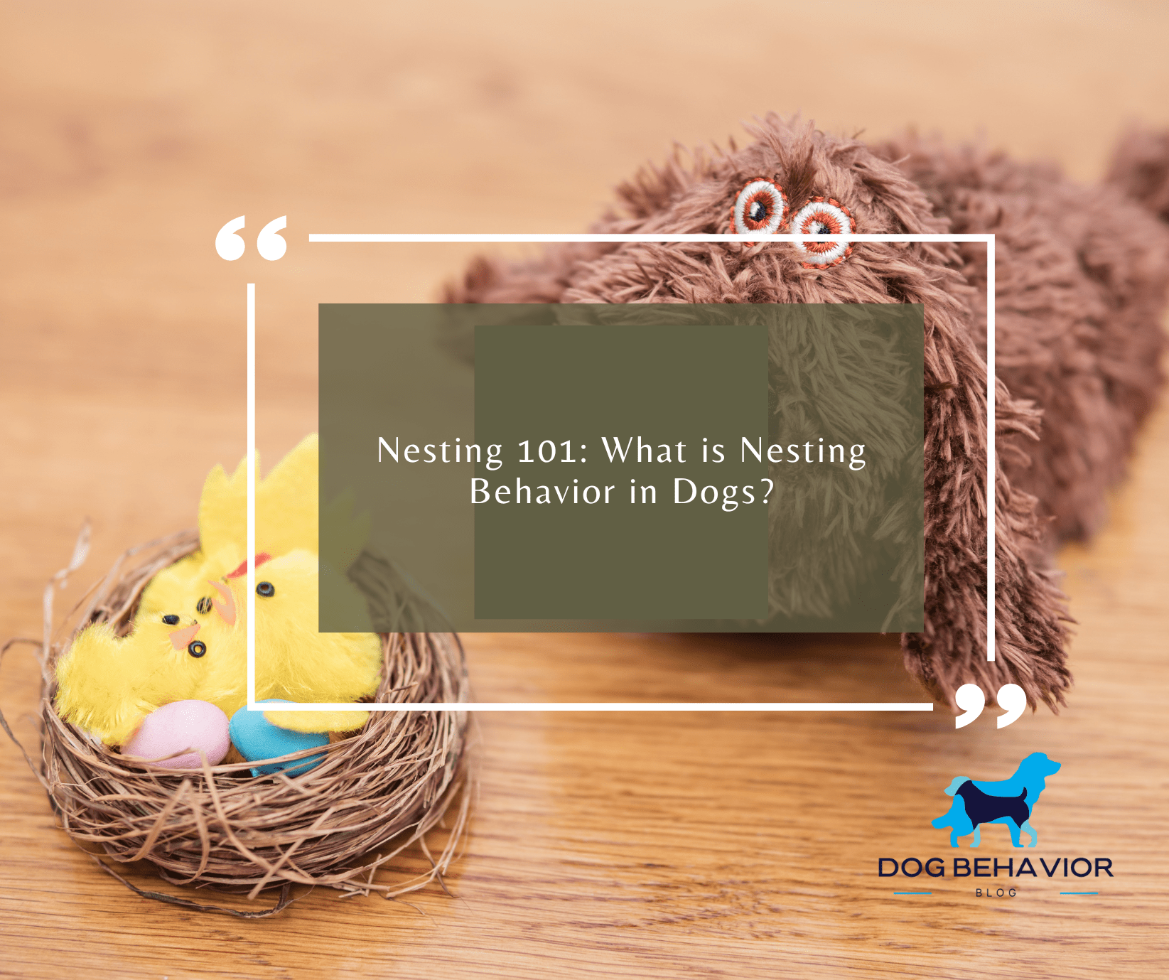 Nesting 101 What is Nesting Behavior in Dogs? Dog Behavior Blog