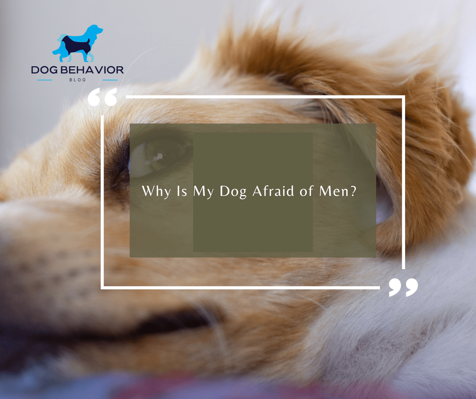 Why Is My Dog Afraid of Men? Dog Behavior Blog