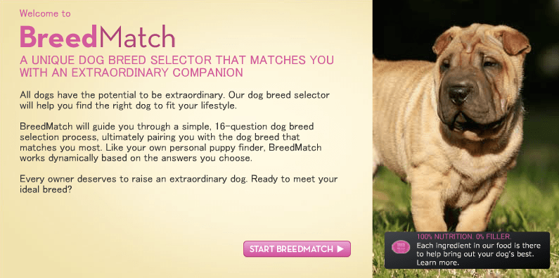 quiz to find your perfect dog