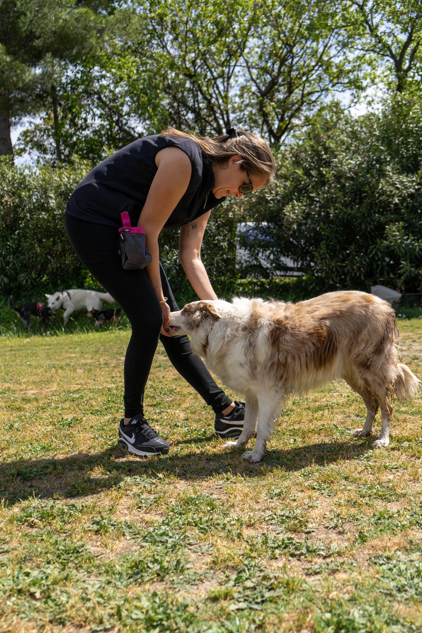 Éducatrice canine accompagnant un chien lors d'une séance Doggy'sCool à Mougins
