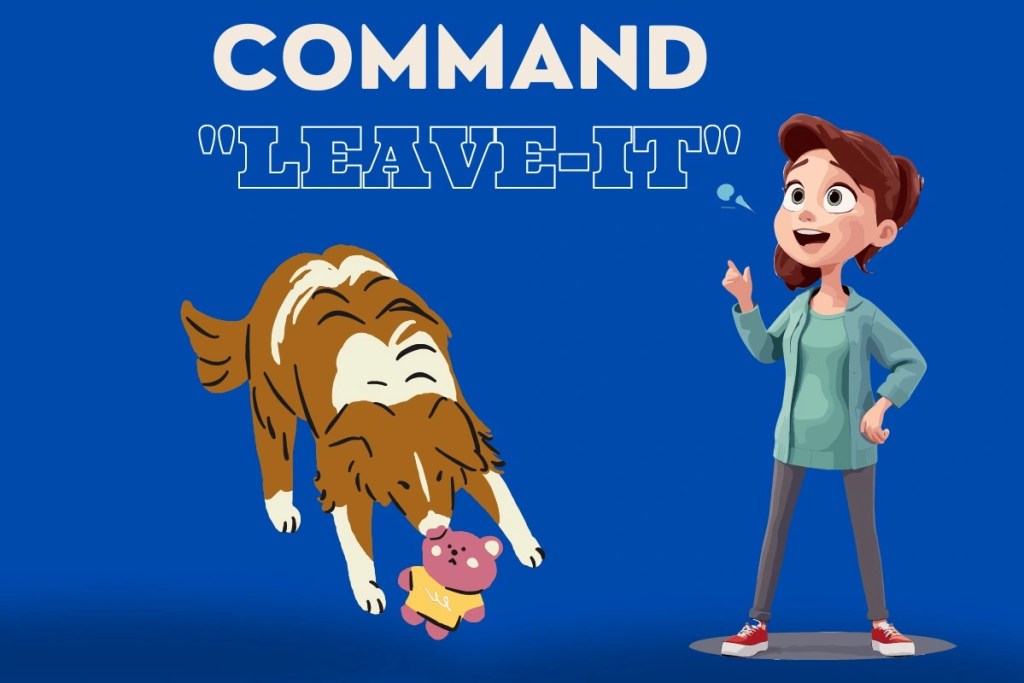 how to teach a dog to leave it, training dog to leave it, leave it command, dog leave it training,