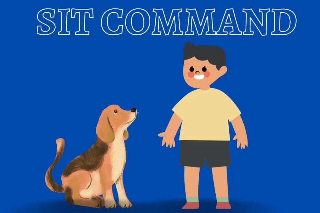 person and a dog, dog training, dog sit training, sit command training