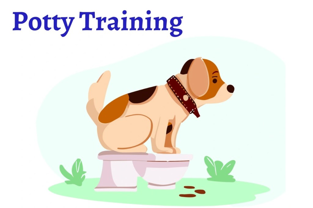 How to potty train a puppy, potty training, housebreaking a puppy,