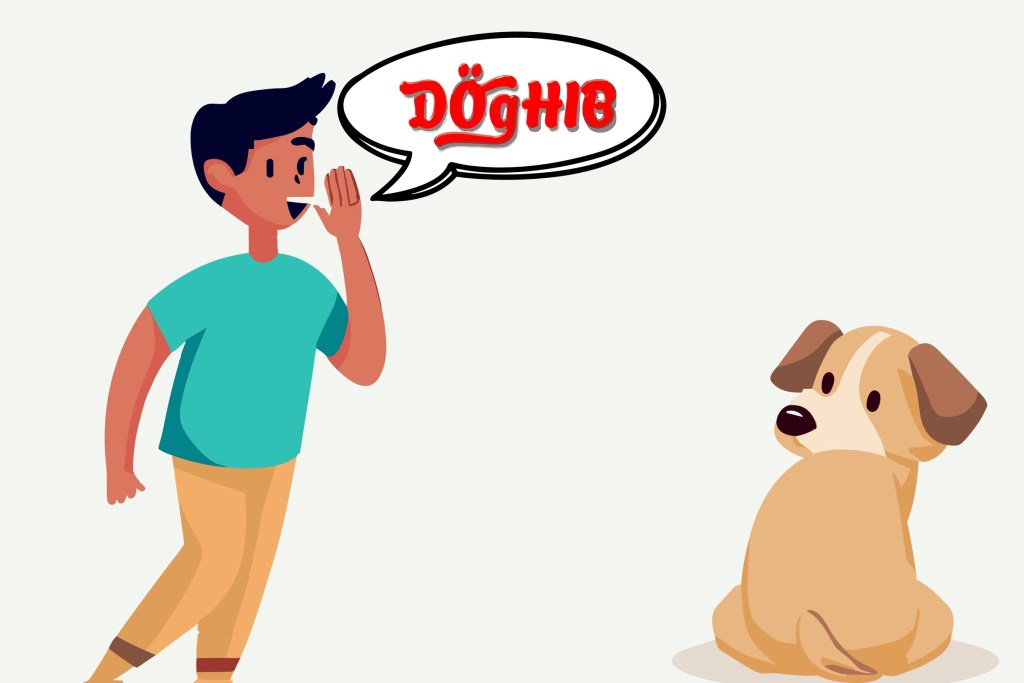 dog name training, how to teach a dog their name,