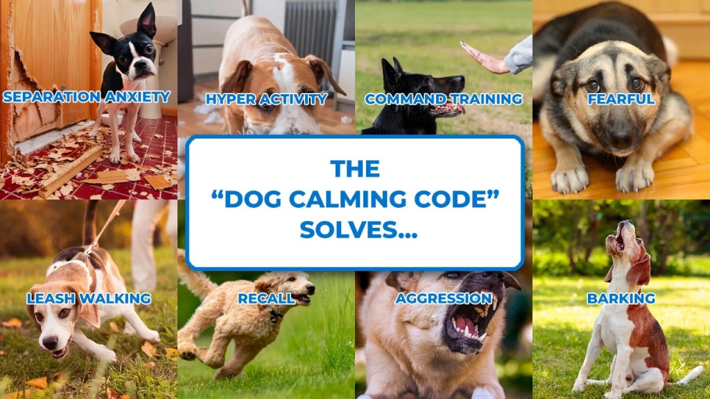affordable dog training course, the dog calming code that solves the dog problem,