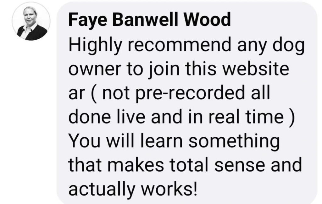 dog training course, dog training course, dog calm code training program, , DogHIB,