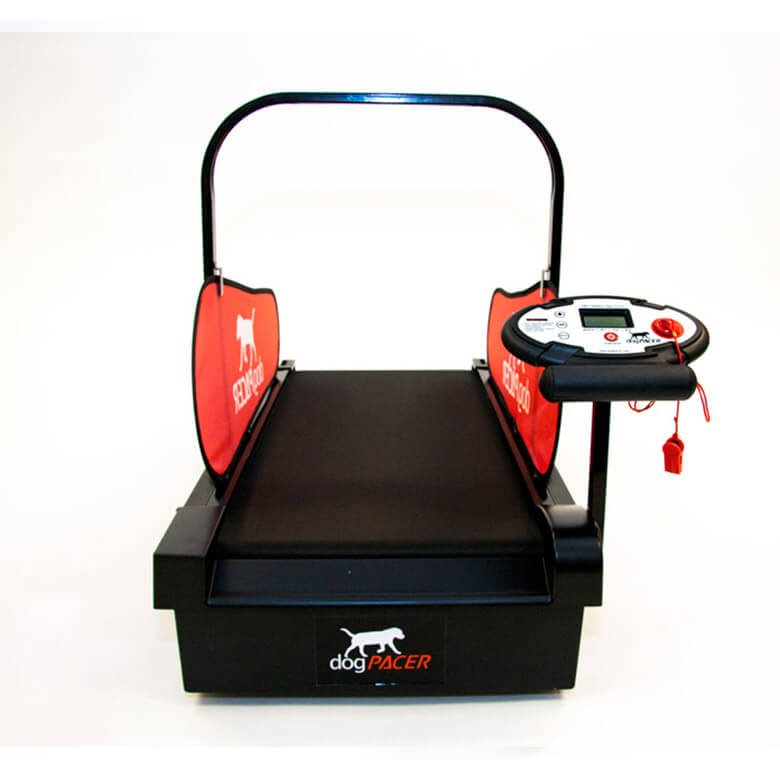 dogtrainer.zaki様アルマンドレッド dogPACER Minipacer Treadmill - Designed for smaller dogs -