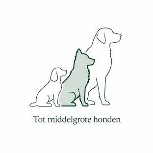 Drie hondensilhouetten, de middelste is gemarkeerd