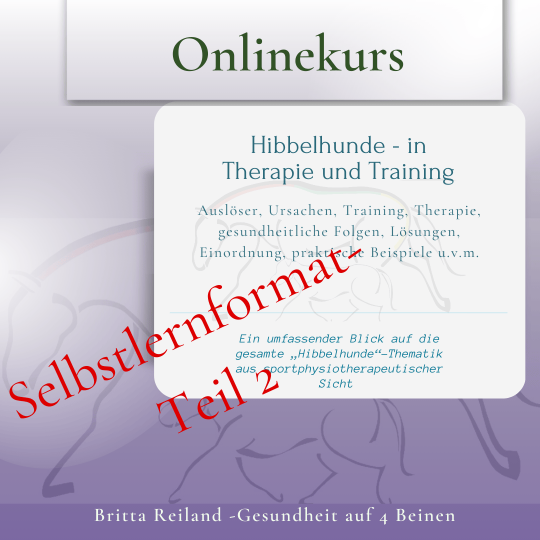 Kurs – Hibbelhunde im Fokus Teil 2 (Selbstlernformat)