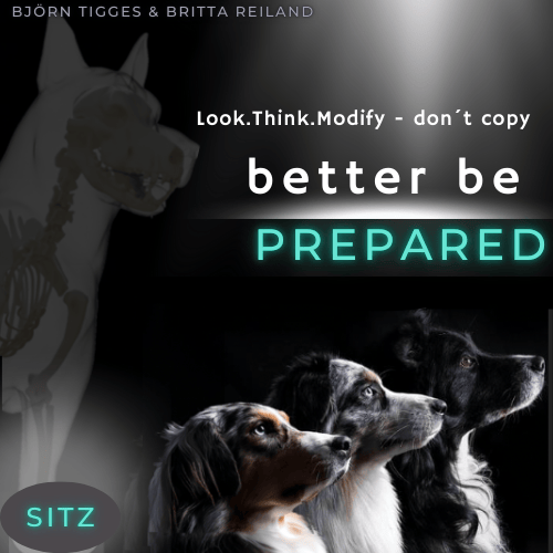 Kurs – better be – Prepared – die Grundposition „Sitz“