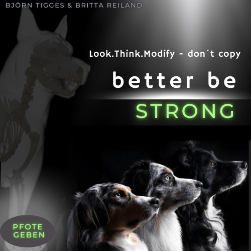 Kurs – better be – Strong – das „Pfote geben“