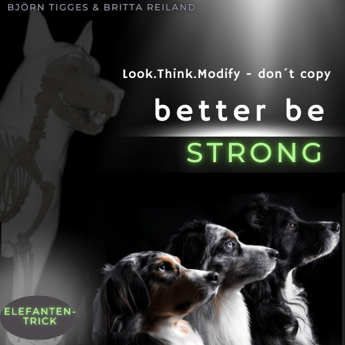 Kurs – better be – Strong – der „Elefantentrick“