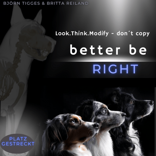 Kurs – better be – Right – die Position „Gestrecktes Platz“
