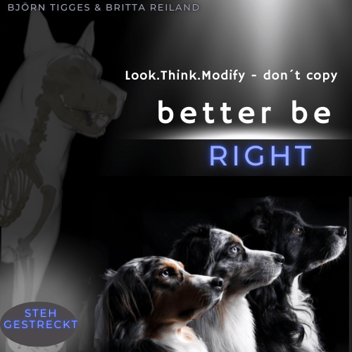 Kurs – better be – Right – die Position „Gestrecktes Steh“
