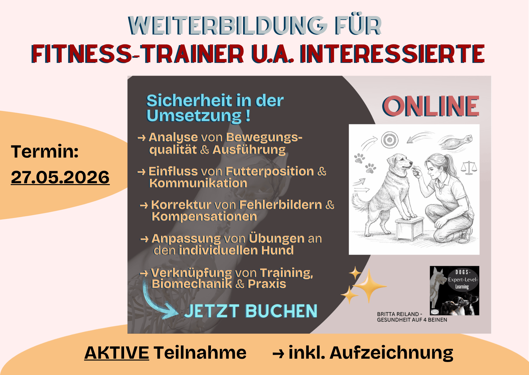 Fitnessübungen – Online- erster Termin – 27.05.2026