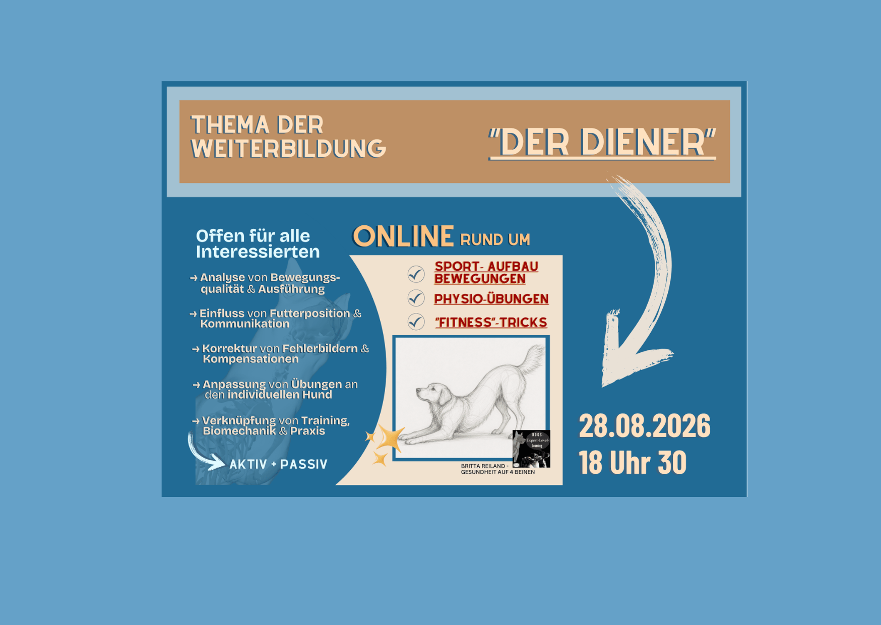 Fitness-/Physiotricks – Weiterbildung –  „Der Diener“
