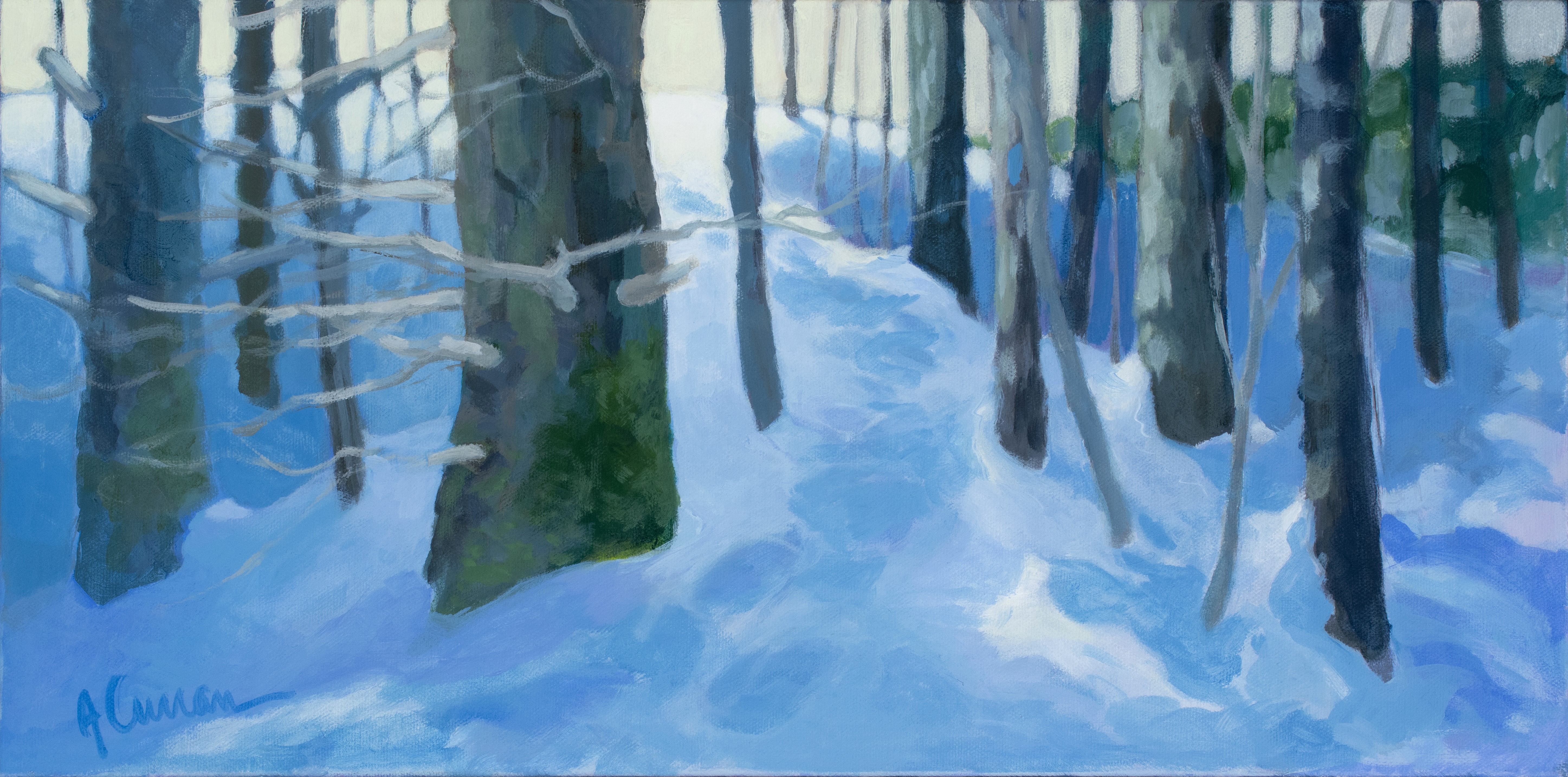 Winter Path