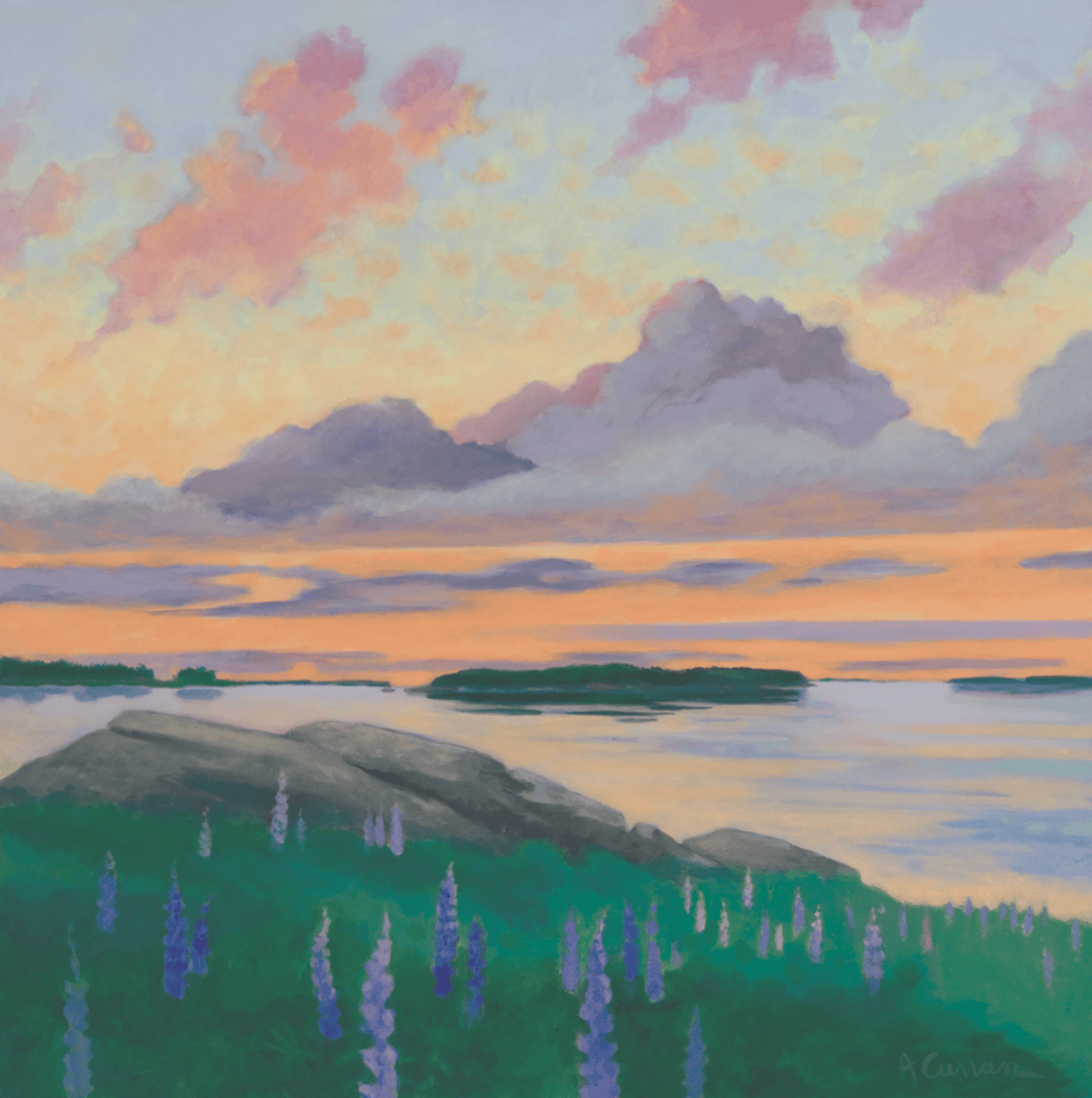 Lupines