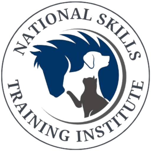 Dog Trainer Academy - Nationally Recognised Dog Training Courses