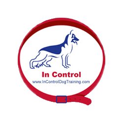 In Control Dog Training
