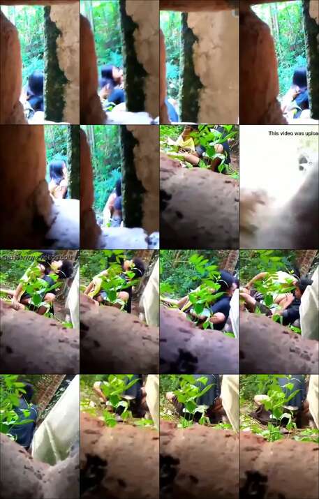 Ngintip ABG ngentot di hutan