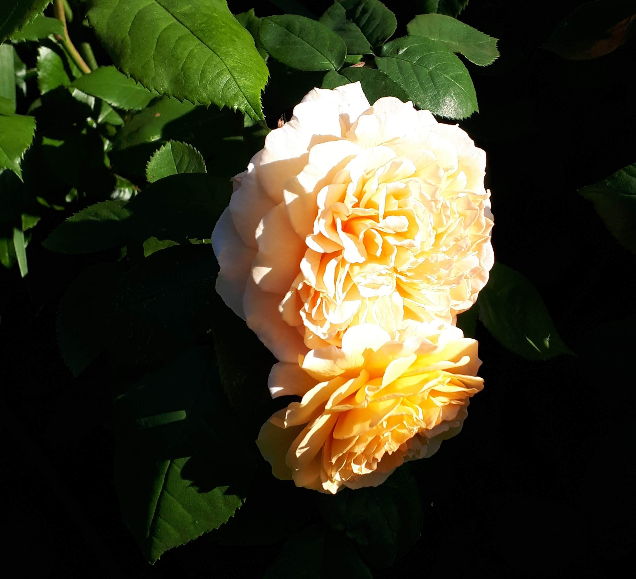 20180603_184733