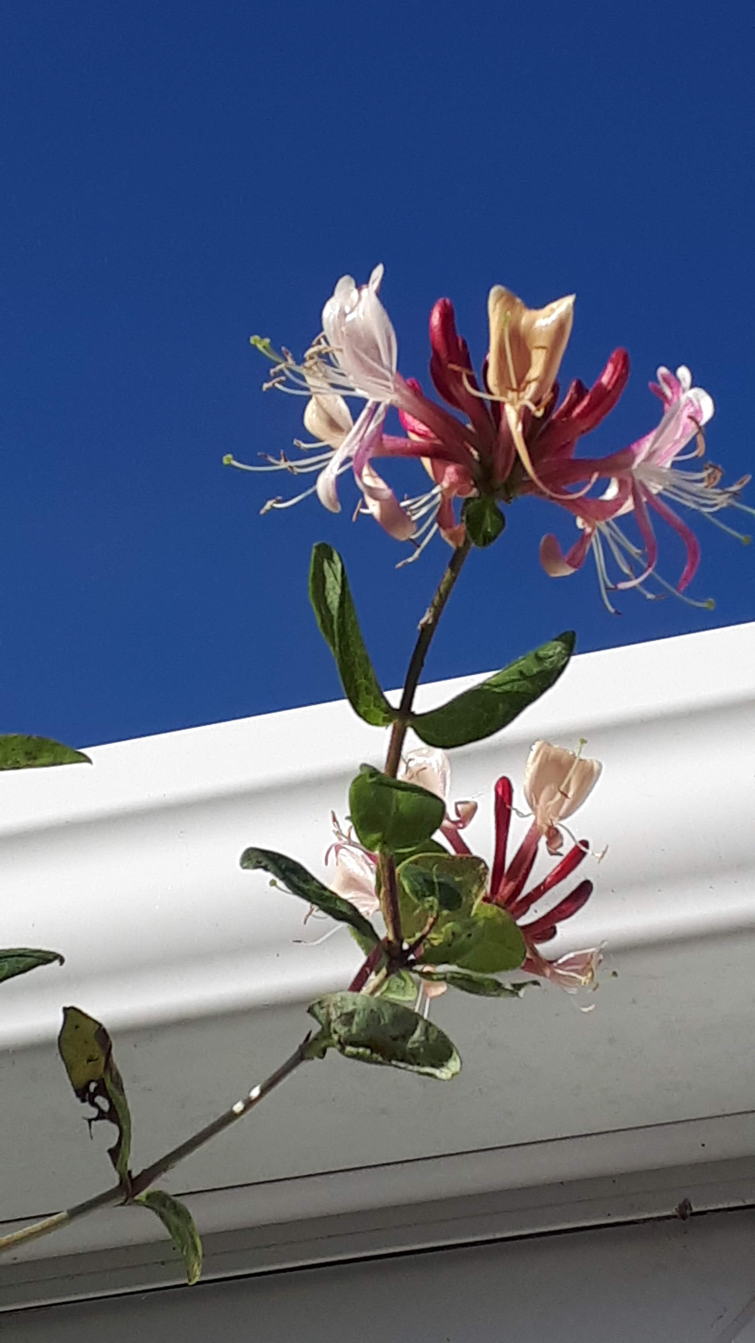 20180929_101648