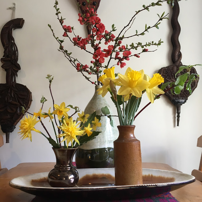 prinknash-daffs