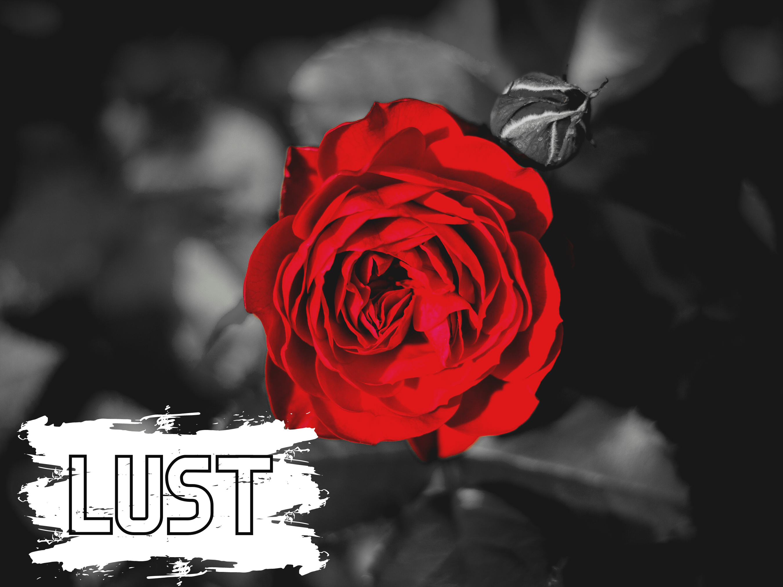 How to stop lusting after someone