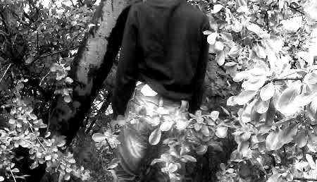Images+25