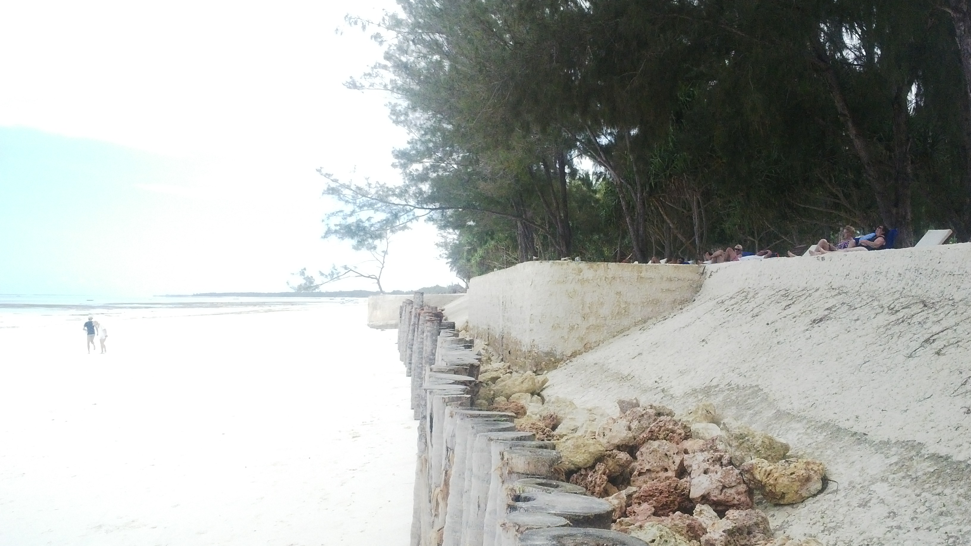 Keeping the ocean at bay