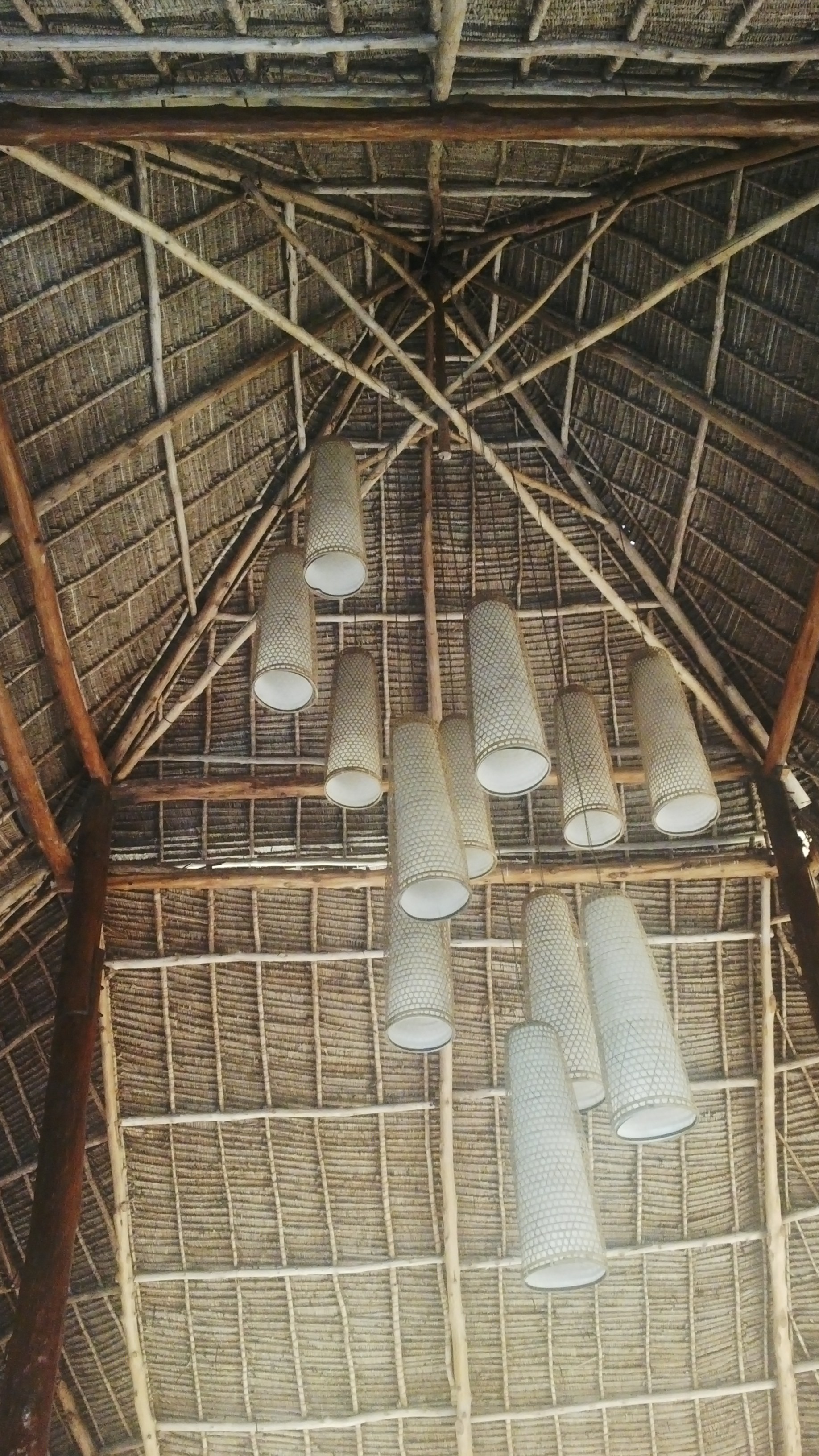 Fascinating lights