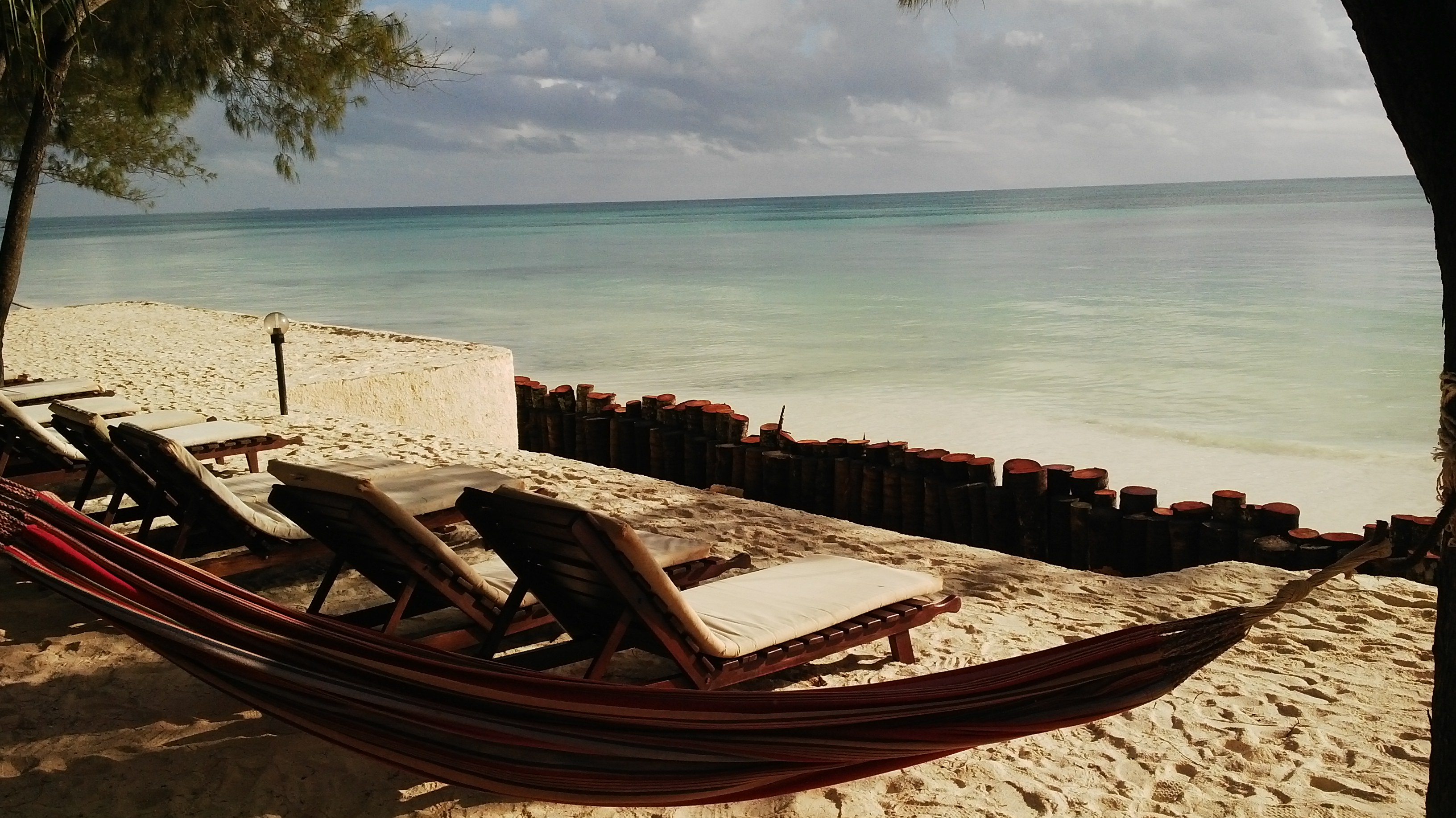 To swing or to lounge?