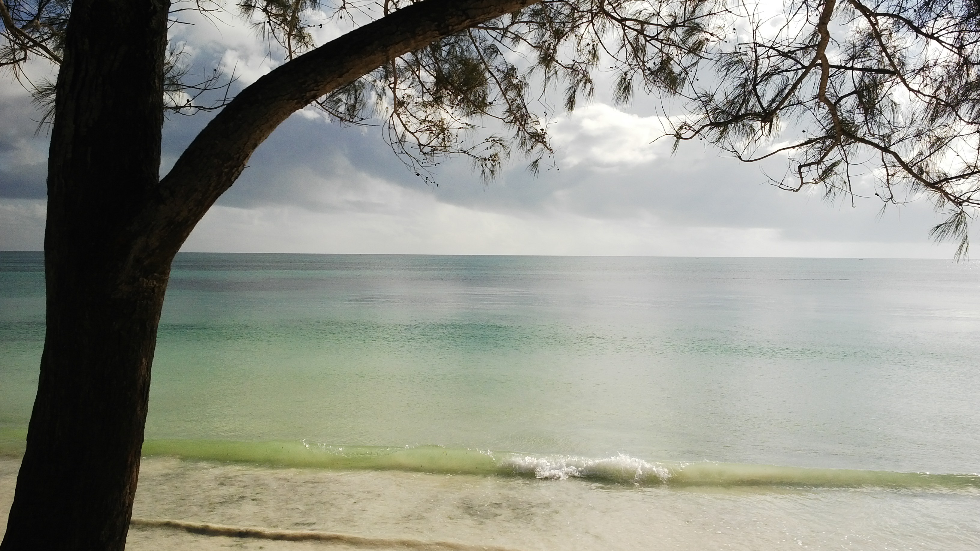 The tide coming in