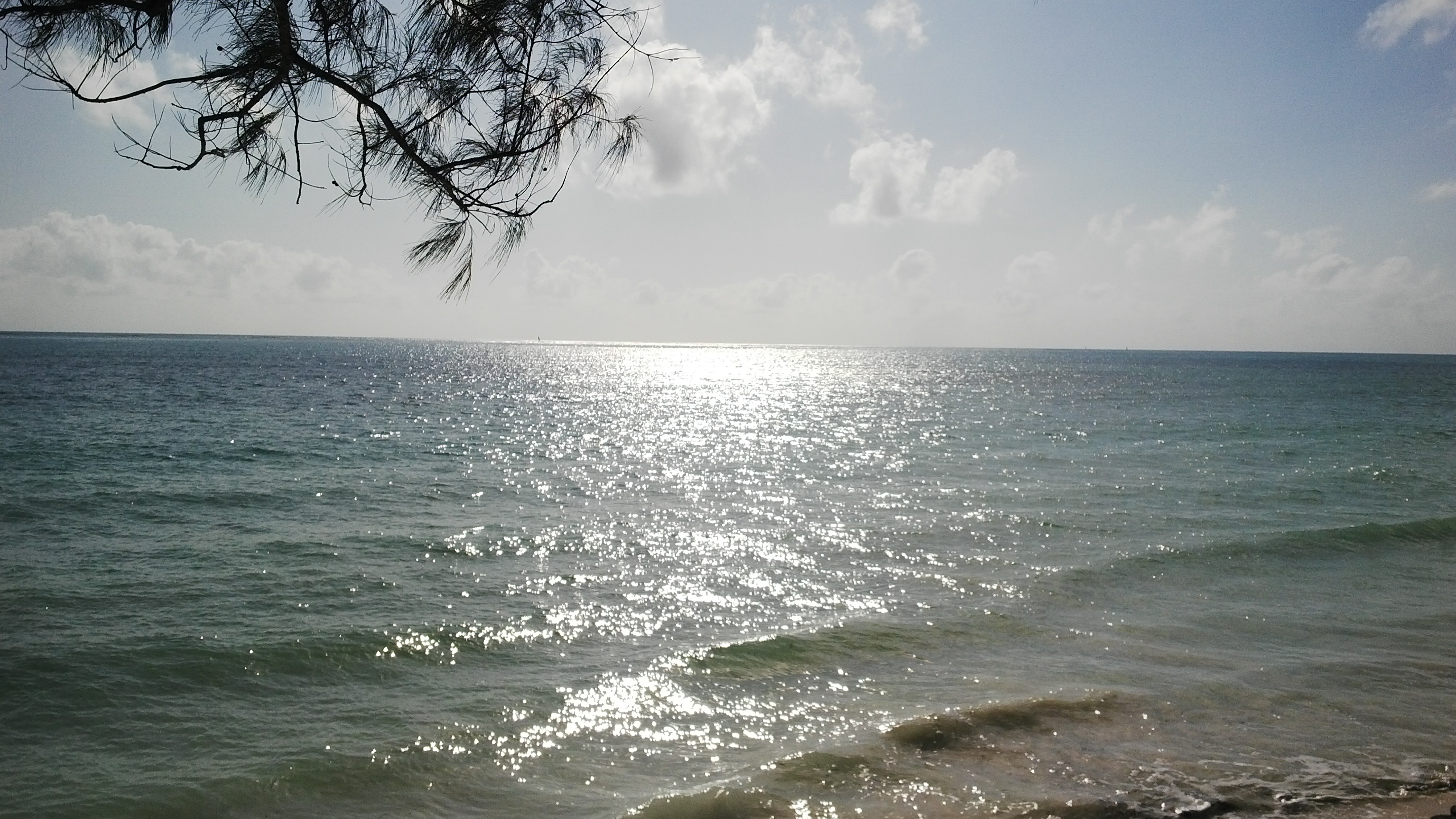 IMG_20141029_080544