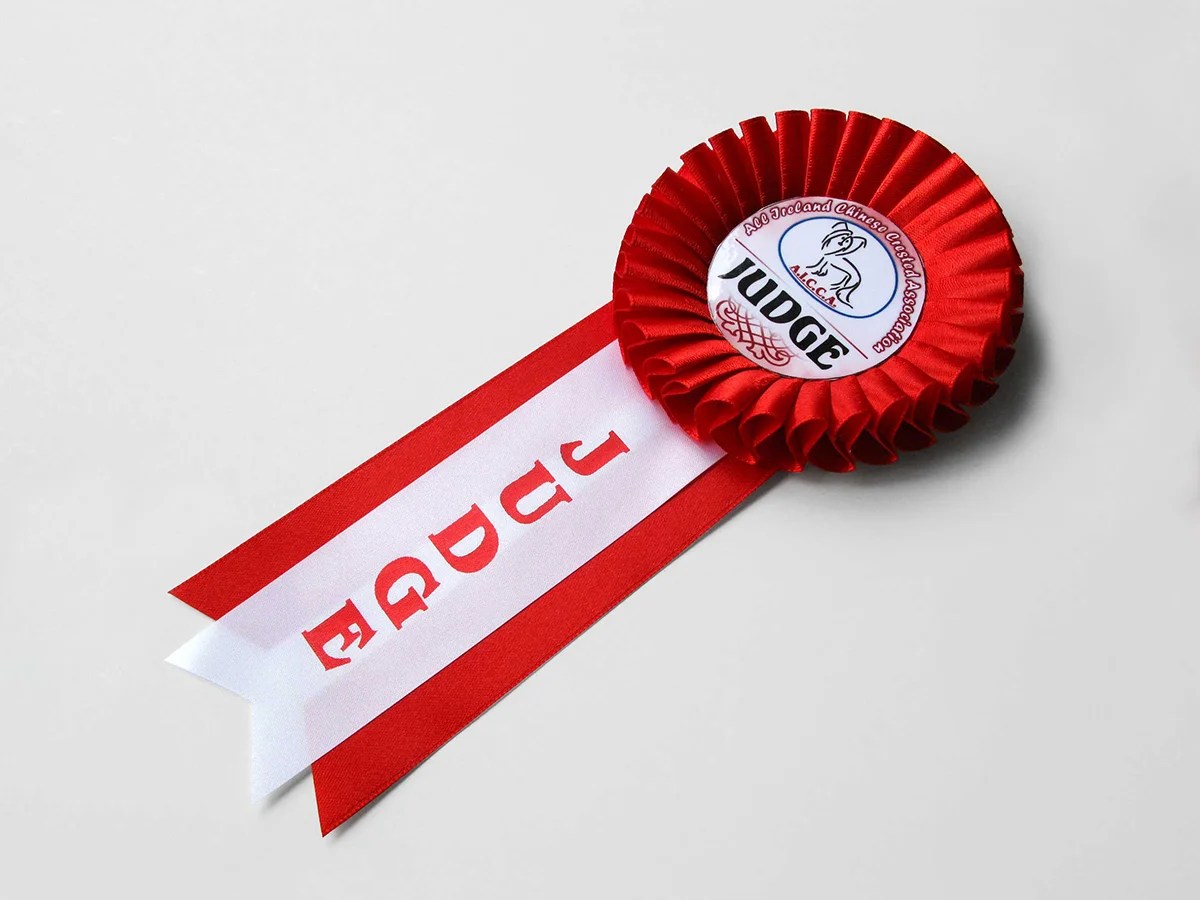 Наградная розетка «Монетка»