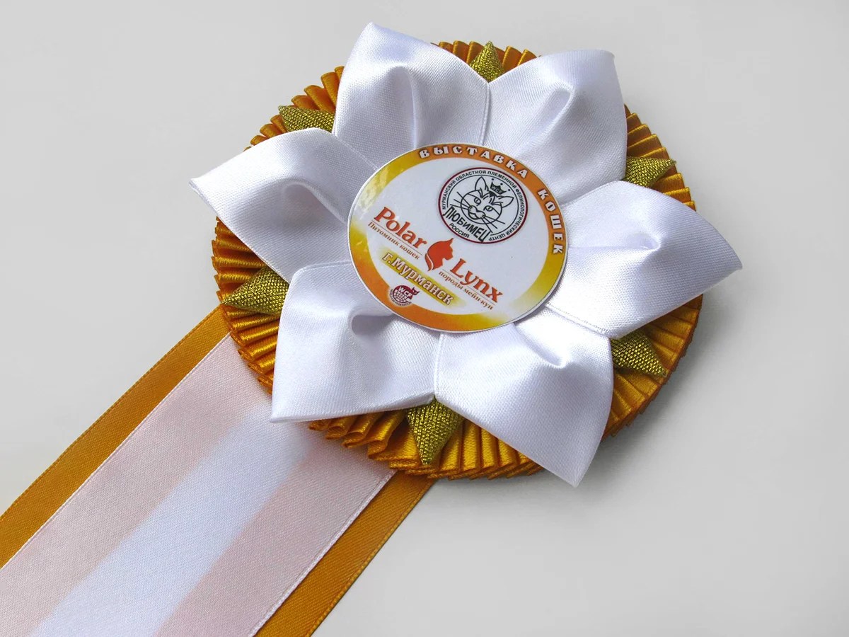 Наградная розетка «Снежок++»