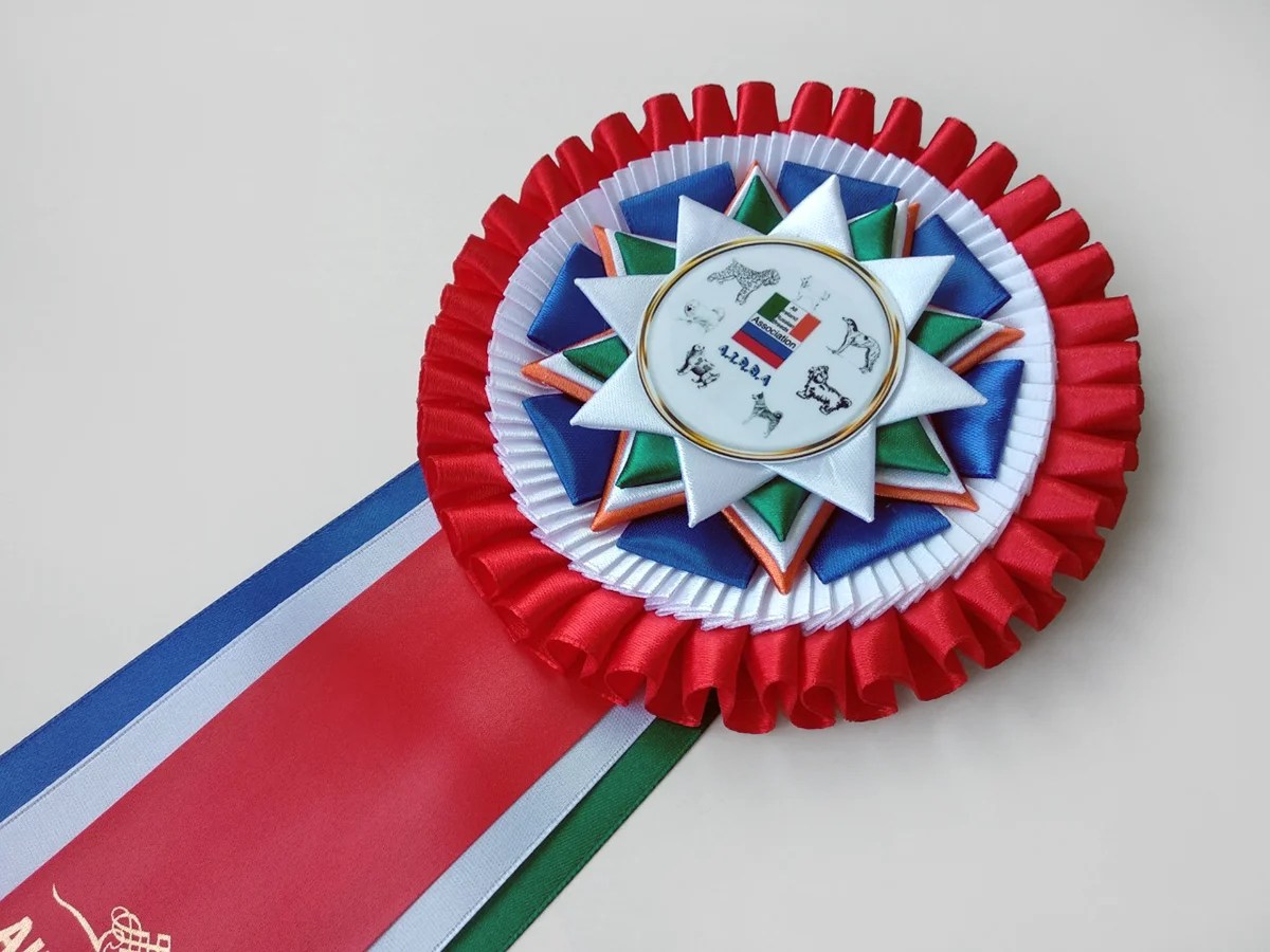 Наградная розетка «Орион»