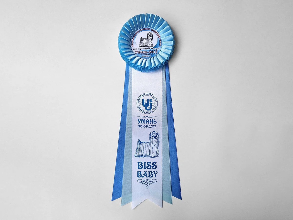 Наградная розетка «Босфор»