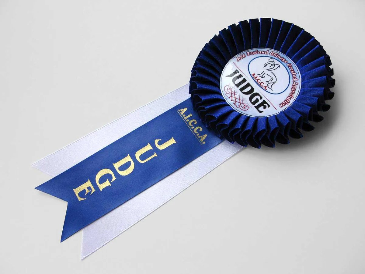 Наградная розетка «Монетка»