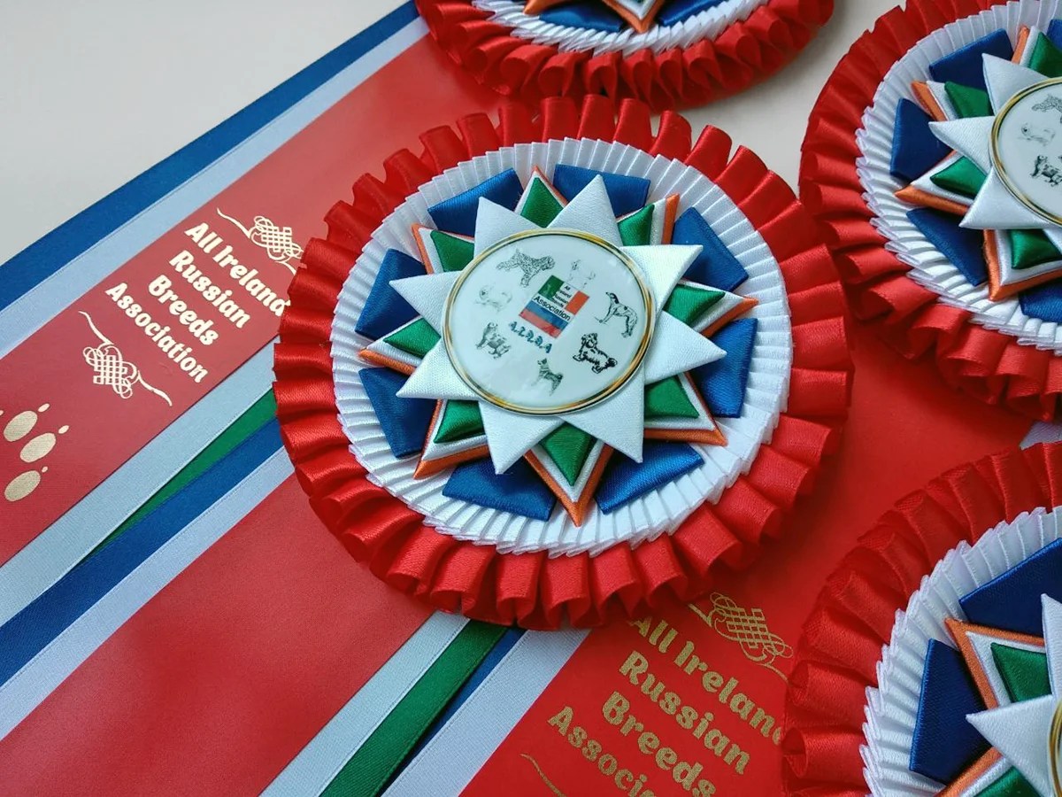 Наградная розетка «Орион»