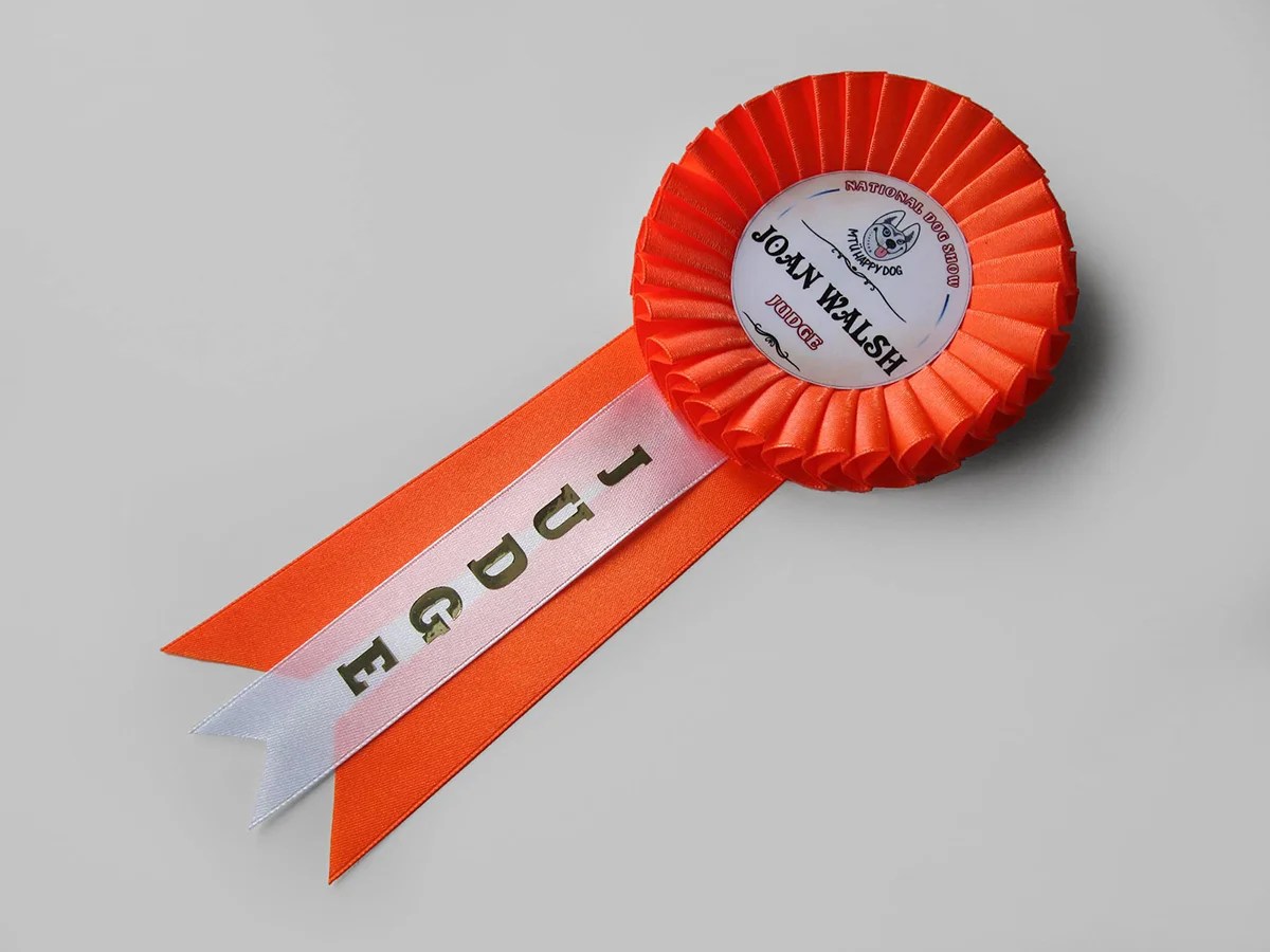 Наградная розетка «Монетка»