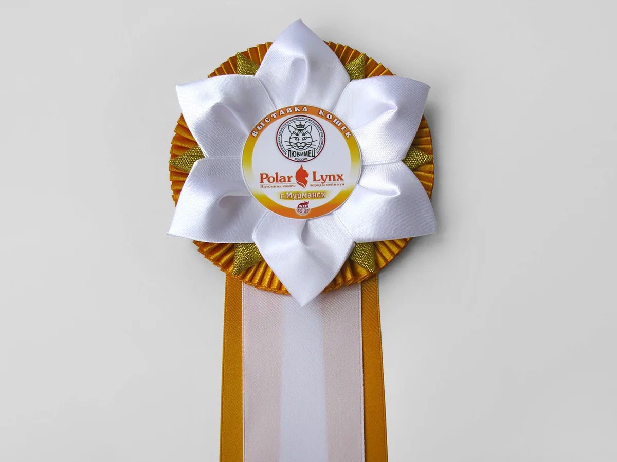 Наградная розетка «Снежок++»