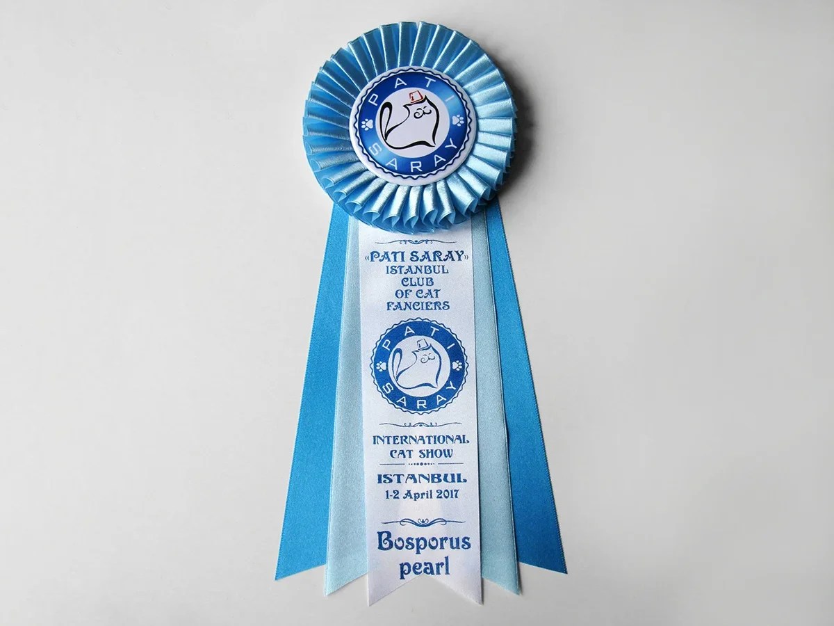 Наградная розетка «Босфор»