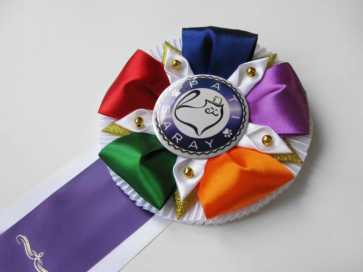 Наградная розетка «Пятнашка»