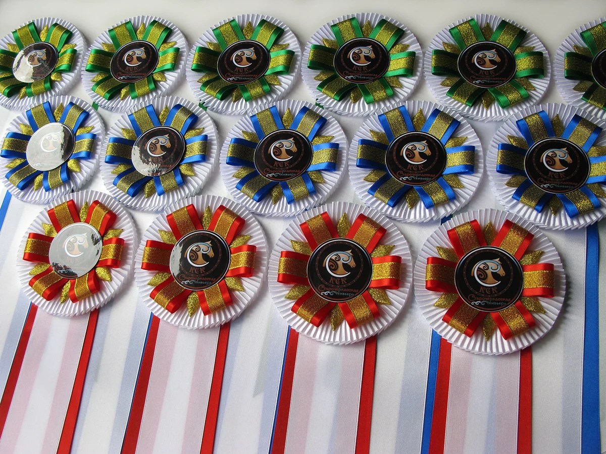 Наградная розетка «Дебют-2»