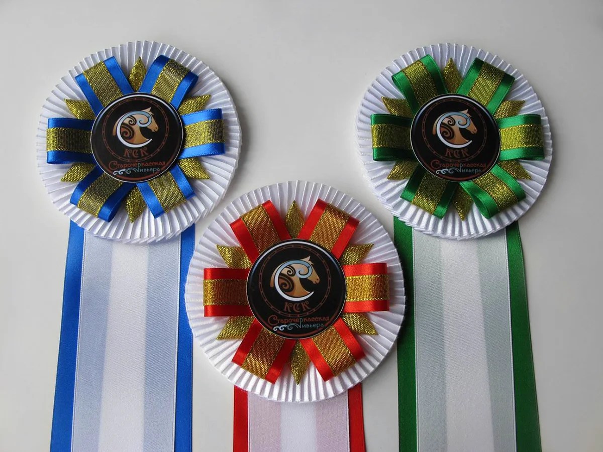 Наградная розетка «Дебют-2»