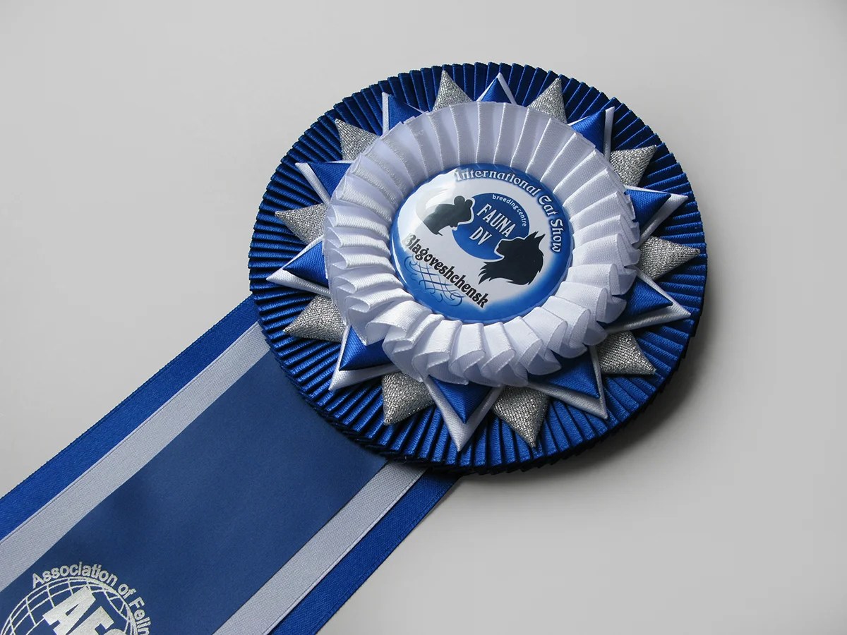 Наградная розетка «Галактика»