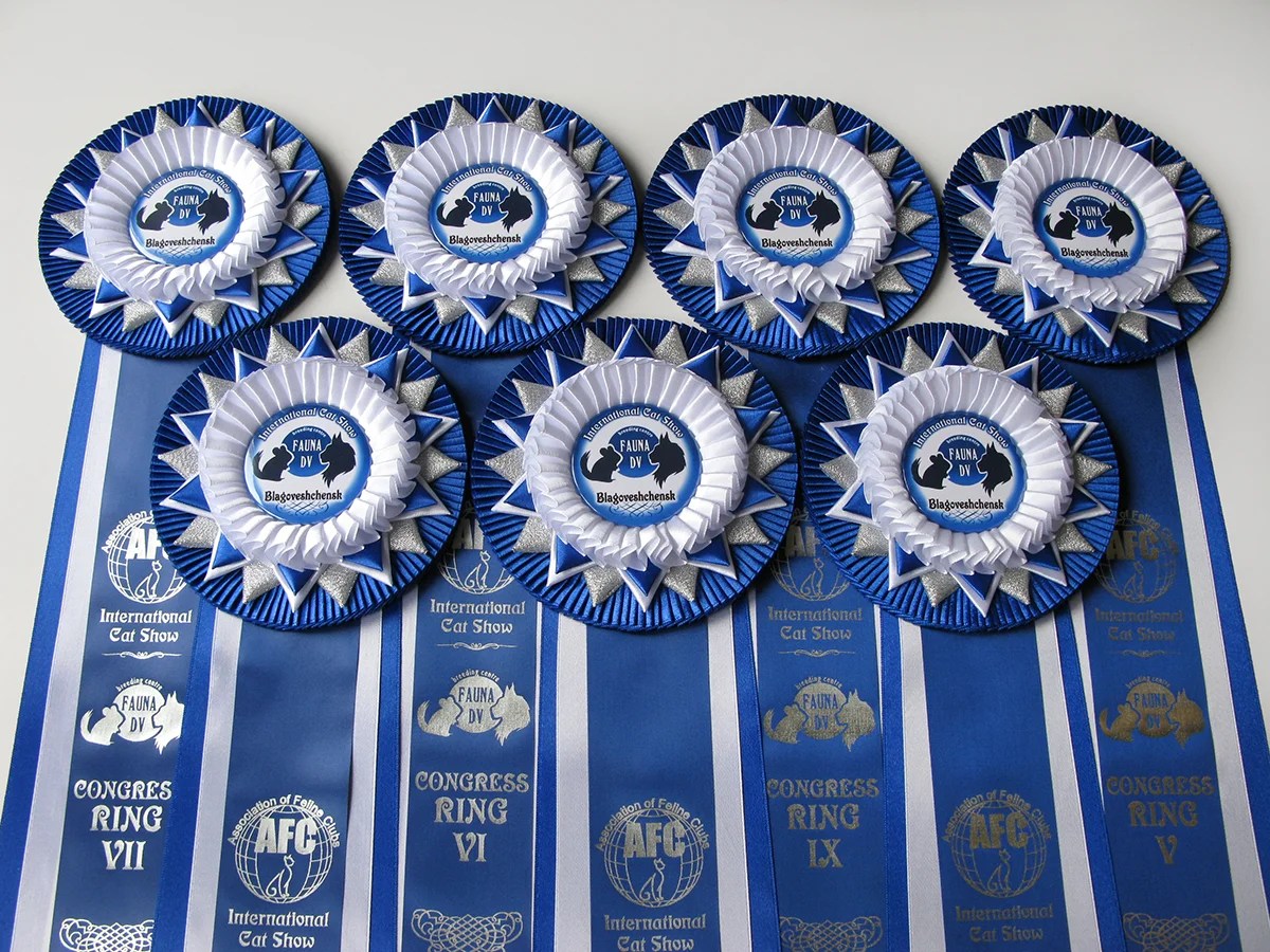 Наградная розетка «Галактика»